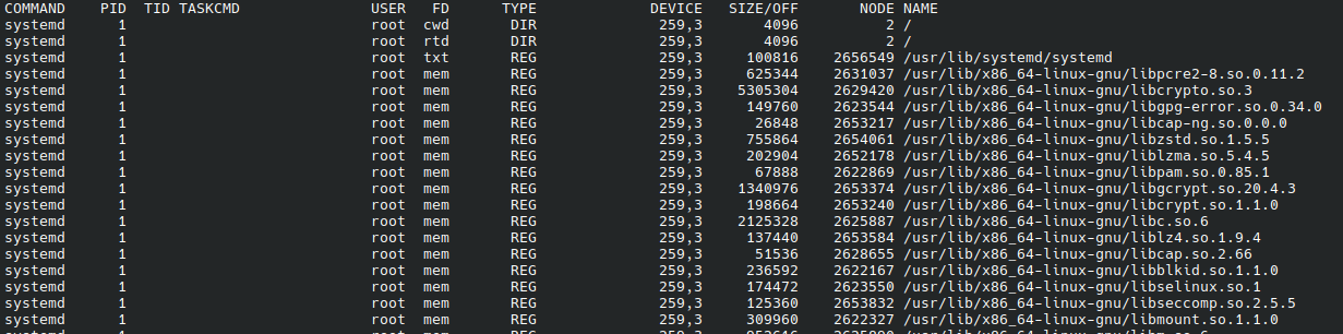 lsof with less