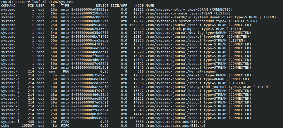 lsof directory